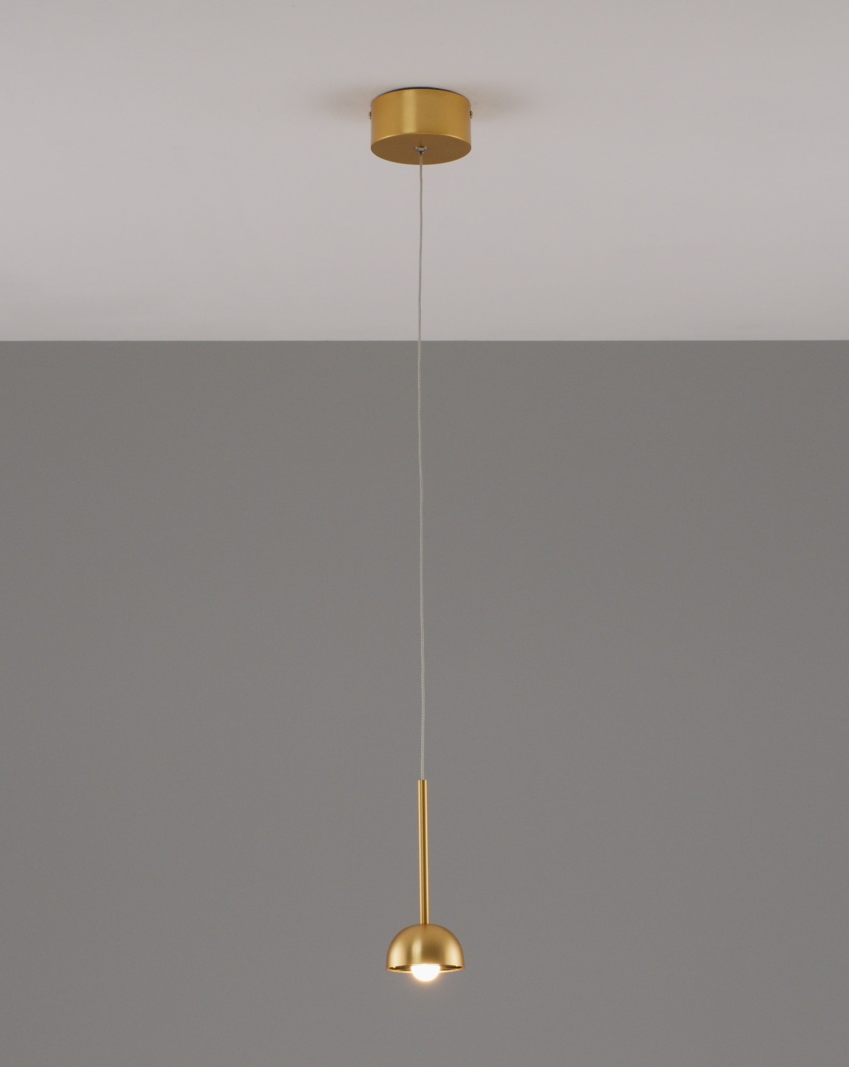Светильник подвесной светодиодный Moderli V10894-PL Fiona V10894-PL